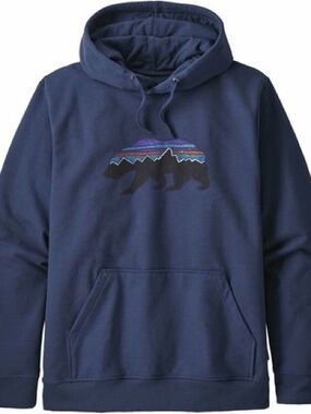 Patagonia Men's Navy Fitz Roy Hoodie